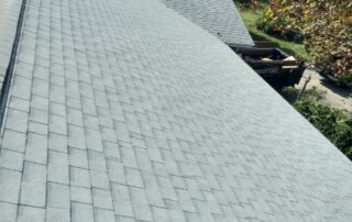 shingle roofing company Melbourne